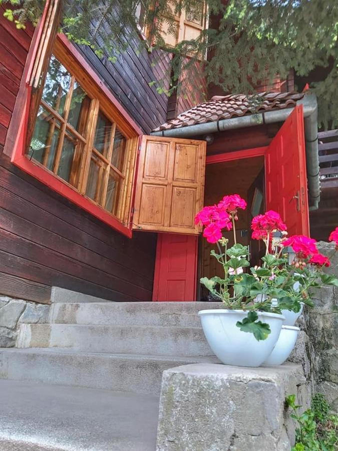 Cabana Sabrina Villa Bran  Dış mekan fotoğraf
