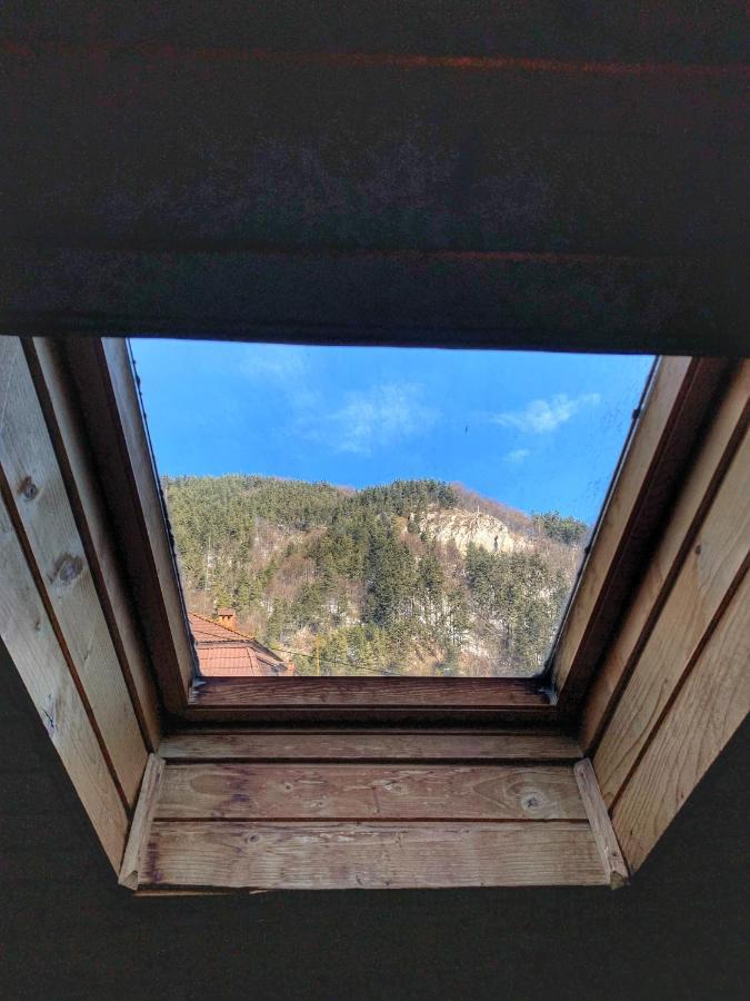 Cabana Sabrina Villa Bran  Dış mekan fotoğraf