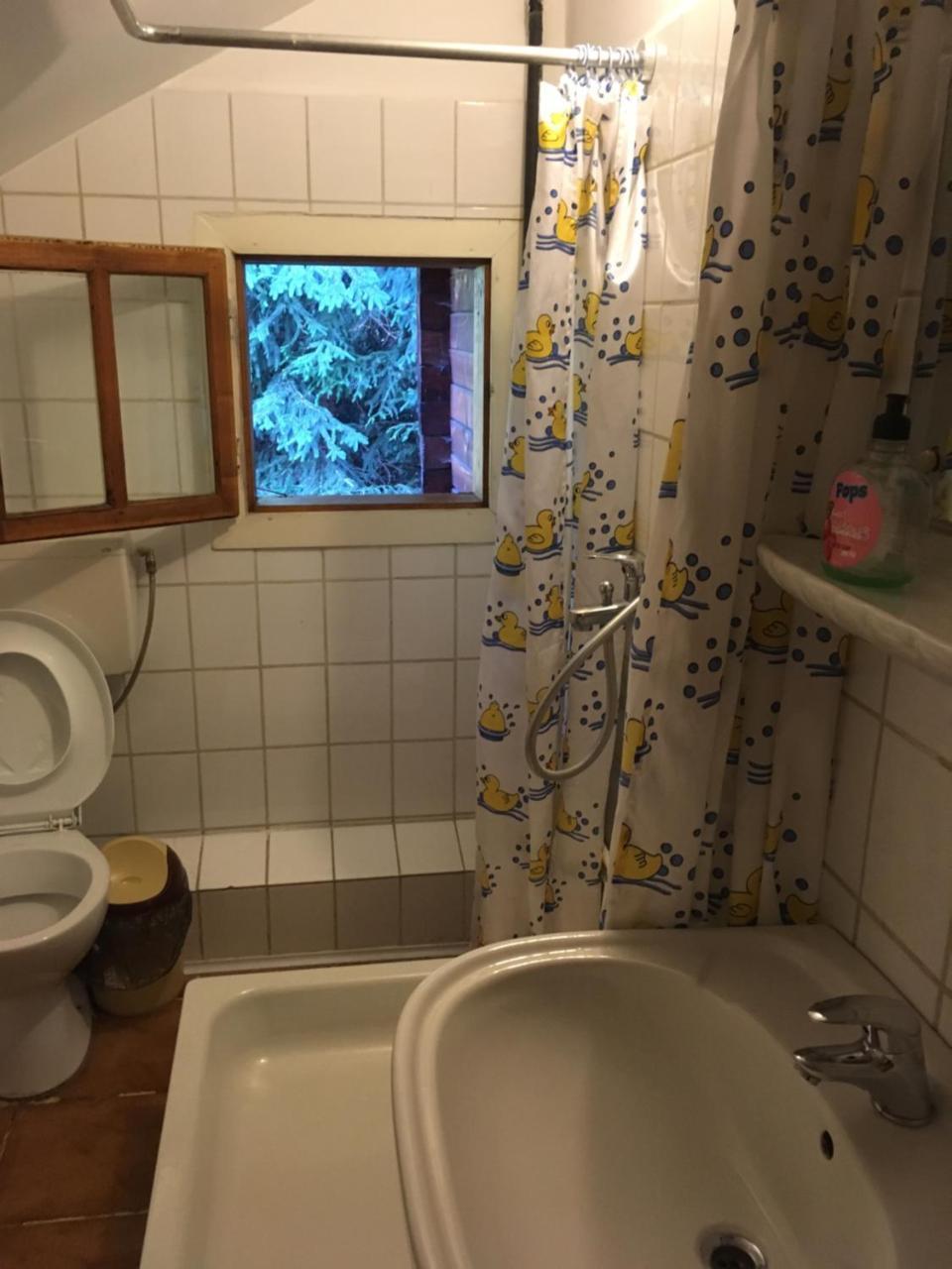 Cabana Sabrina Villa Bran  Dış mekan fotoğraf