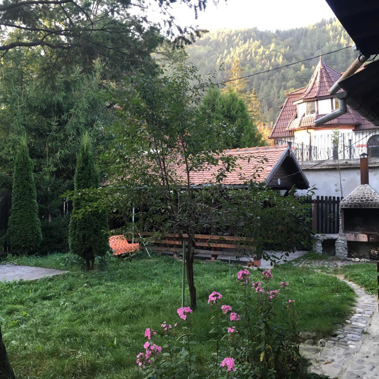 Cabana Sabrina Villa Bran  Dış mekan fotoğraf