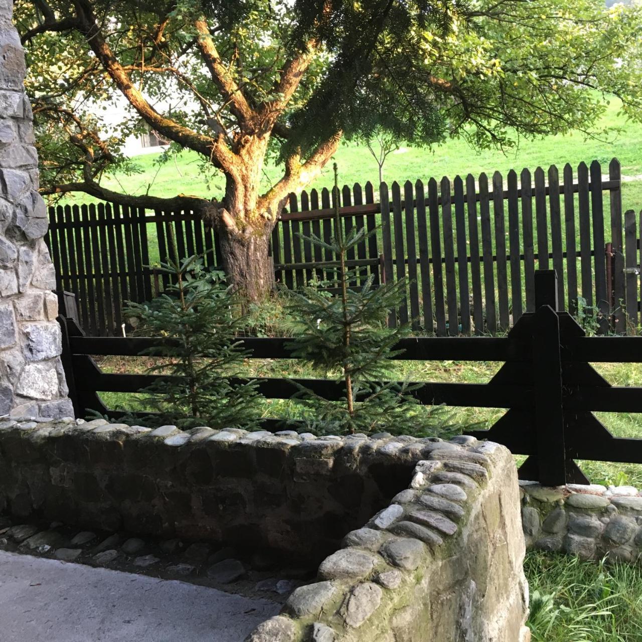 Cabana Sabrina Villa Bran  Dış mekan fotoğraf