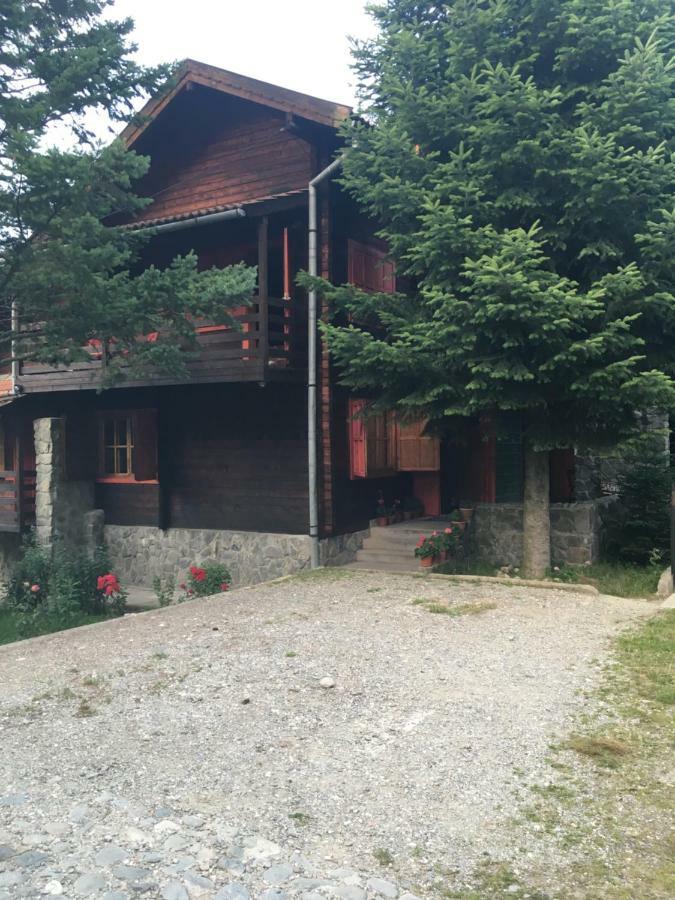 Cabana Sabrina Villa Bran  Dış mekan fotoğraf